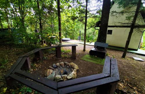 UNDER THE GREEN ROOF - Foto 25