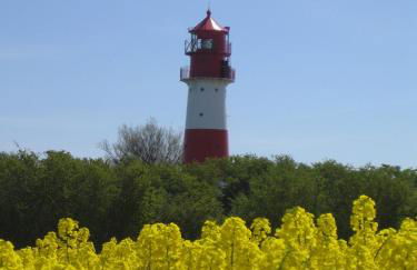 Ferienwohnungen Traumlage - Foto 25