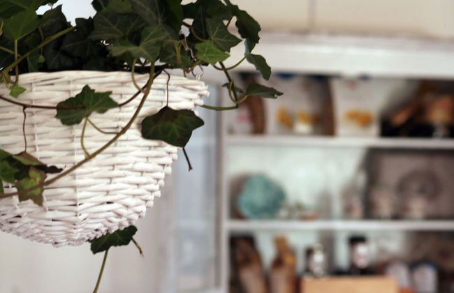 Casale Torre San Magno - Foto 56