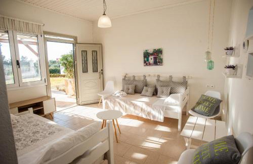 Musses Studios - Photo 44