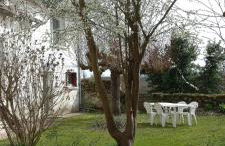 La troglo aux oiseaux - Foto 4