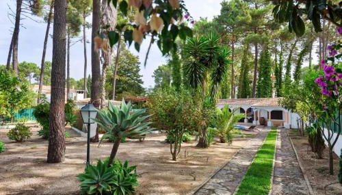 Elegant Villa in Corroios with Private Pool - Foto 5, Garden view