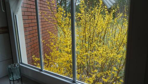 Thula - Apartment in Villa Ambrosian - Foto 4