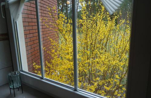 Thula - Apartment in Villa Ambrosian - Foto 4