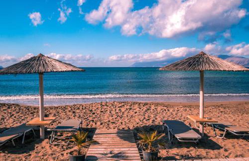 Cornelia Hippie Magic Bus - Foto 54