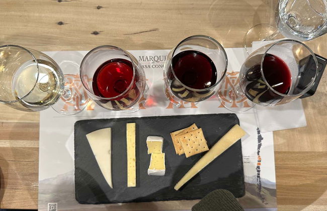 Excursão à Vinícola Concha y Toro - Photo 3