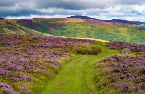 3 Bed in Holywell oc-89614 - Photo 43