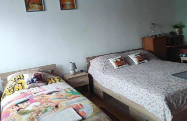 Apartman 1 RIBIČ - Foto 20