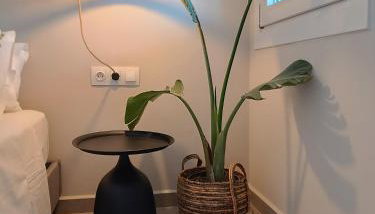 Petra Lodge - Photo 5