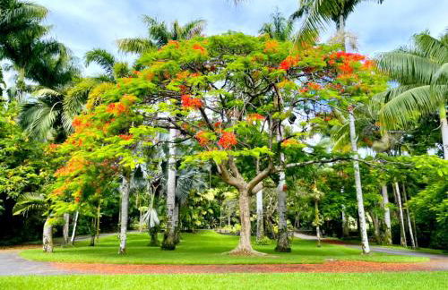 Grand Oceanfront Gated Estate on the Hamakua Coast - Foto 57