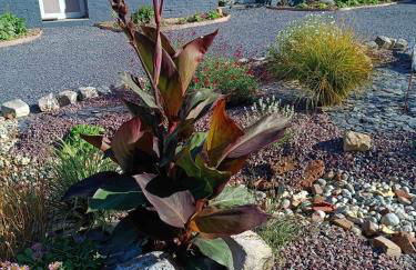 L'art du bonheur proche de la Baie de Somme - Foto 28