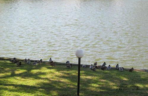 Lakeside Daze! - Foto 54