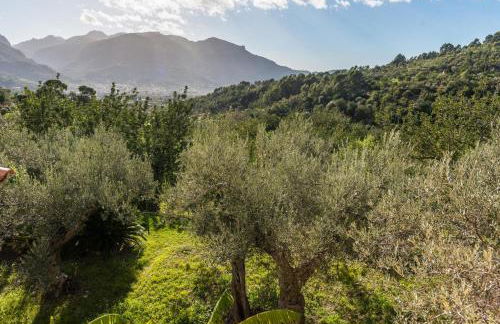 S'Olivaret - Foto 43