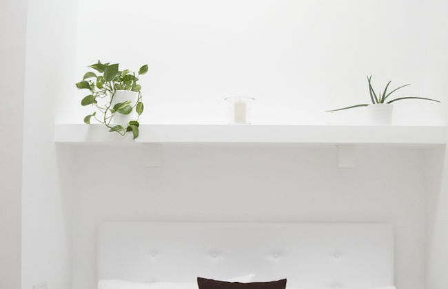 Ortiquattro - Photo 22