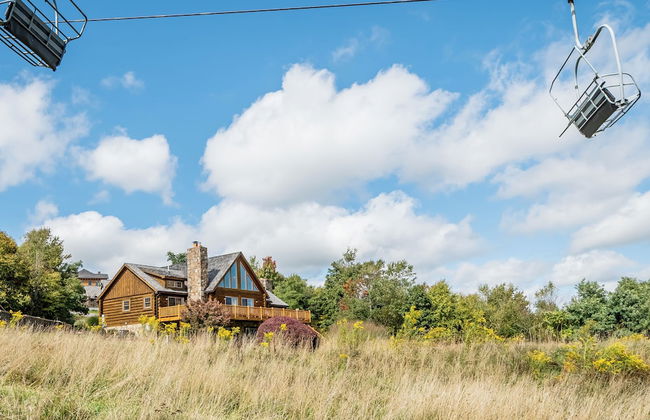 Wispy Business - Foto 40