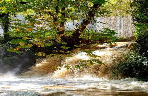 Villa Castro - Photo 64