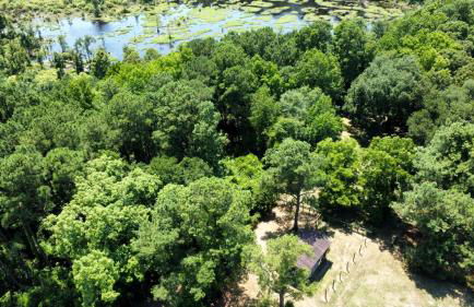 Modern Airstream Glamping with Pond Views in Rural South Carolina - Photo 2