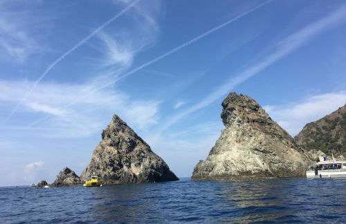 Dépendance individuelle - Photo 38