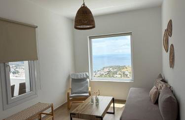 Eolia luxury houses Andros - Photo 16