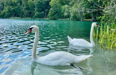 Apartament Fryderyk Łagów - Foto 47