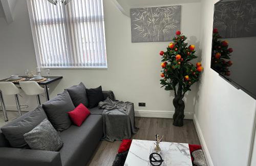 2 bedroom flat close to Manchester City, Manchester City stadium and Coop Arena - Foto 50
