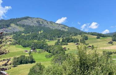 Chalet des evettes - Foto 15