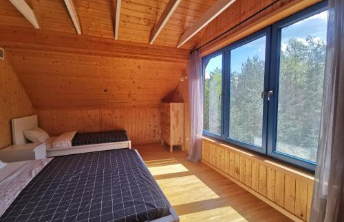 Leśne Wspomnienia - Foto 23