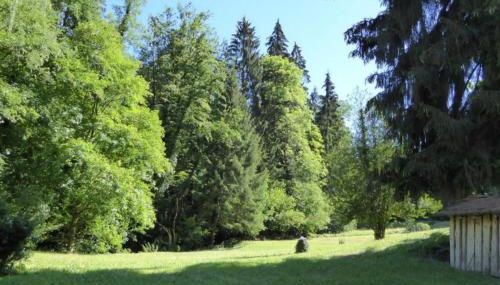 Ferienhaus Auszeit vom Alltag - Photo 5