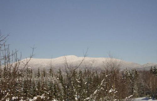 Ferienhaus Klingenbrunn - Foto 31