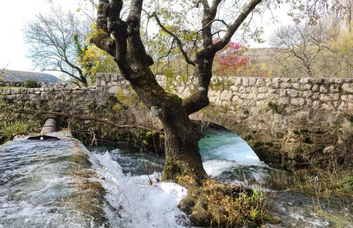 Apartmani Rudi - Foto 76