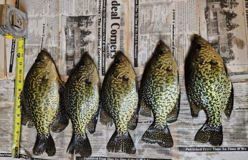 Boy Lake Lodge - Foto 12