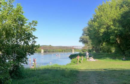 Rue Bertrand de Got - Foto 33