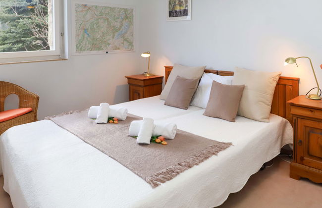 Alpes et Lac 2 - Foto 11