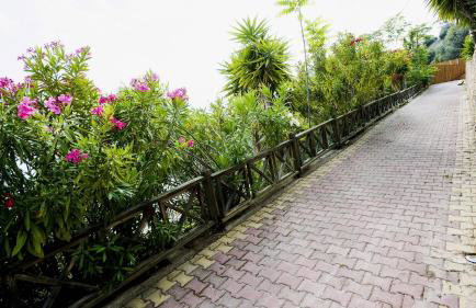 Penelope's Blue Sea Front Residenses - Foto 16