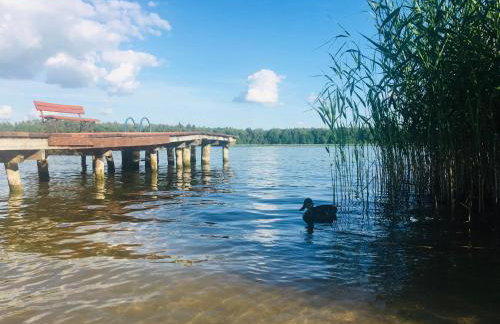 Dom Wakacyjny Bogaczewo - Foto 8