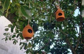 Casa ampla e confortável - Foto 14