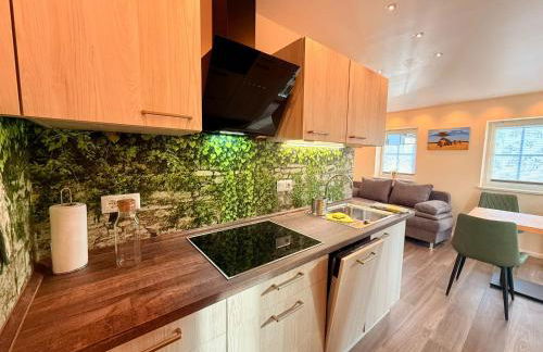 Ruheoase Sachsenbrunn Hochwertig sanierte Ferienapartments am Werratalradweg - Foto 24