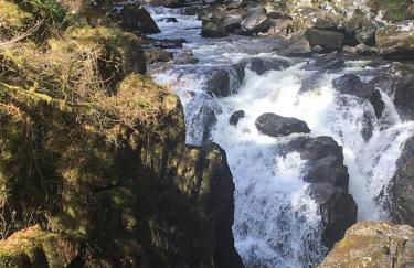 Our Log House in the woods - Photo 38