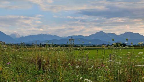 Ferienwohnung Rötzer - Foto 2