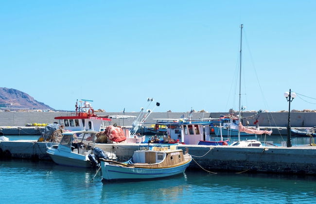 The White Houses - Foto 70