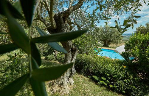 Podere Fontegallo - Photo 64