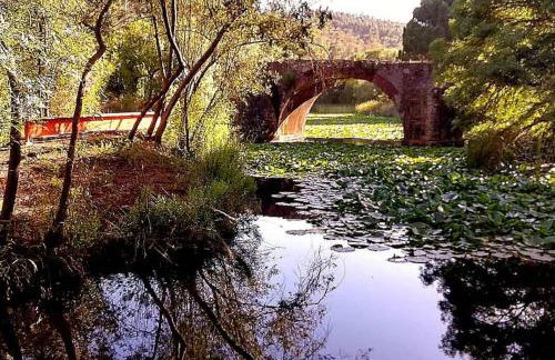 Casa da Ti Maria Vieira - Foto 52