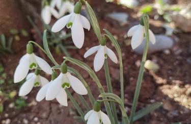 Apartment Luce - Foto 30