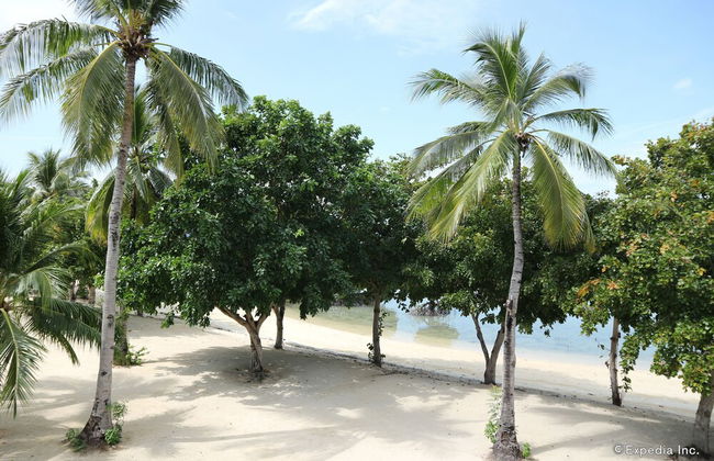 Dos Palmas Island Resort & Spa - Foto 77