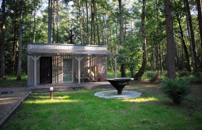 Asmonai Campsite - Photo 3