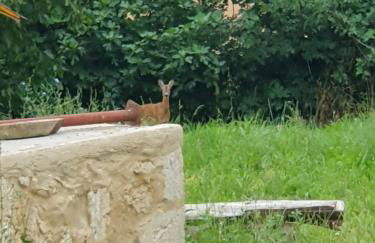 gite la bergerie - Foto 32