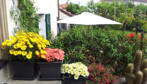 da Marinella - Foto 5, Garden