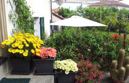 da Marinella - Foto 5