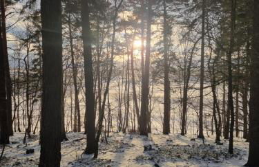 Am Rittergut Giesenstein - Foto 28