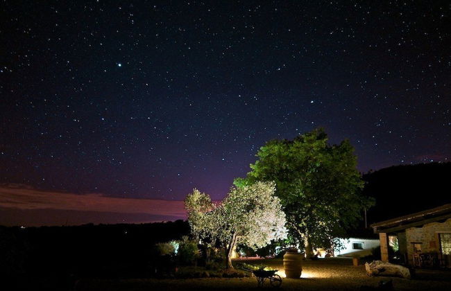 Poggio Al Vento - Photo 37